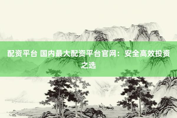 配资平台 国内最大配资平台官网：安全高效投资之选