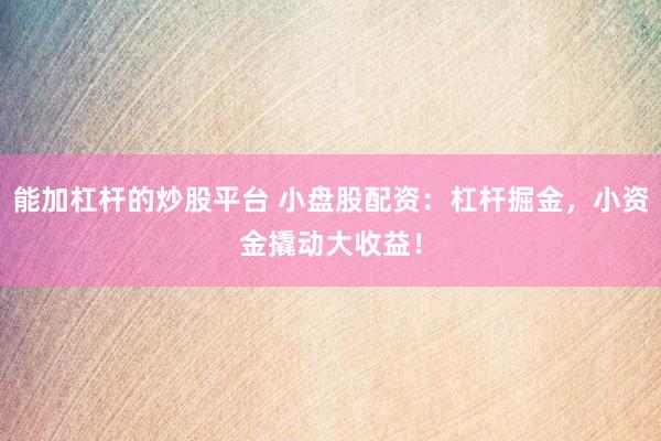 能加杠杆的炒股平台 小盘股配资：杠杆掘金，小资金撬动大收益！
