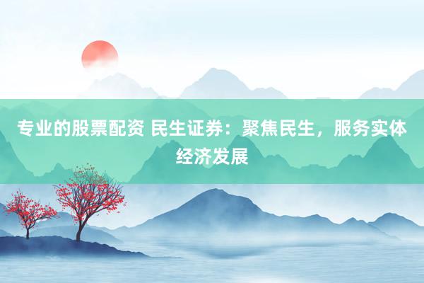 专业的股票配资 民生证券：聚焦民生，服务实体经济发展