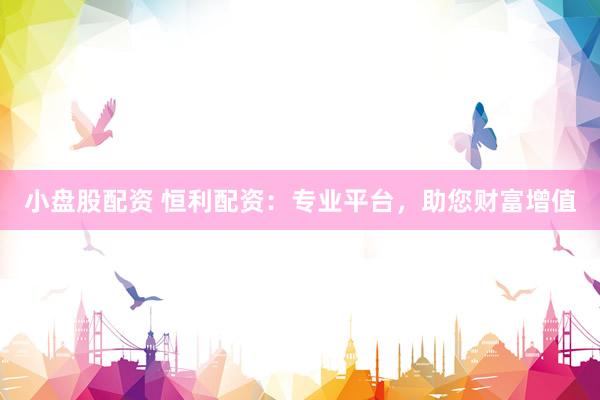 小盘股配资 恒利配资：专业平台，助您财富增值