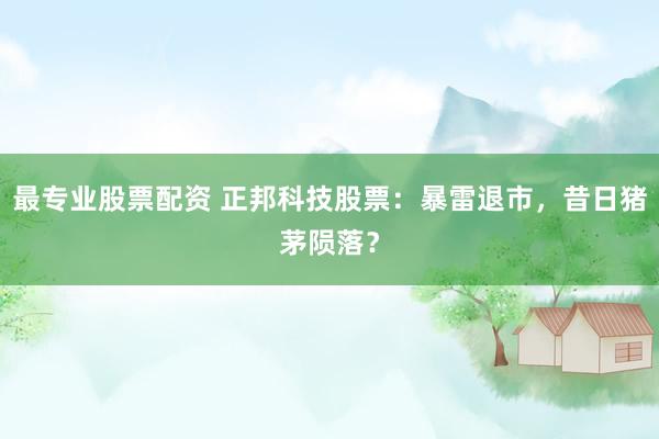 最专业股票配资 正邦科技股票：暴雷退市，昔日猪茅陨落？