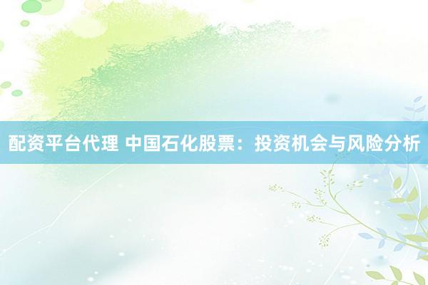 配资平台代理 中国石化股票：投资机会与风险分析