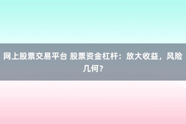 网上股票交易平台 股票资金杠杆：放大收益，风险几何？