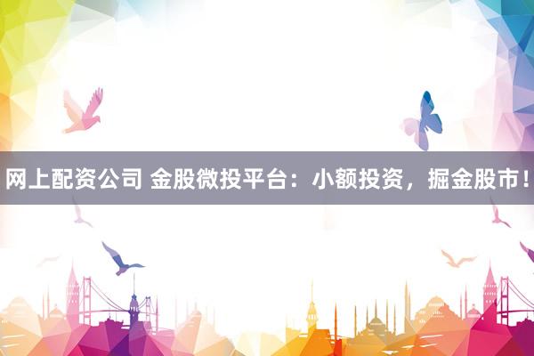 网上配资公司 金股微投平台：小额投资，掘金股市！