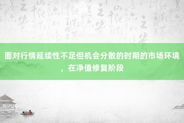 面对行情延续性不足但机会分散的时期的市场环境，在净值修复阶段