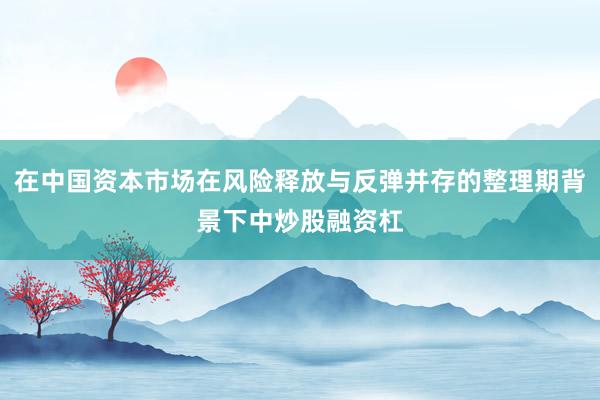 在中国资本市场在风险释放与反弹并存的整理期背景下中炒股融资杠