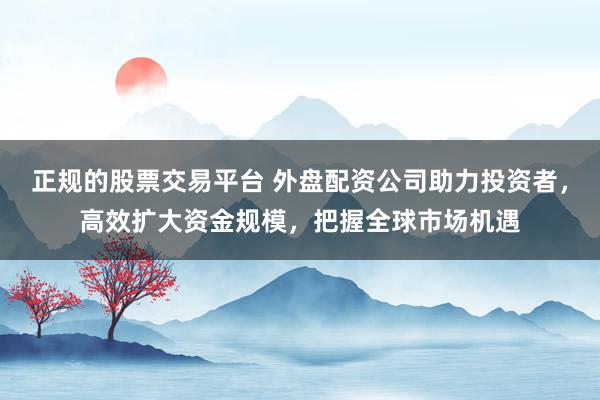 正规的股票交易平台 外盘配资公司助力投资者,高效扩大资金规模,把握全球市场机遇