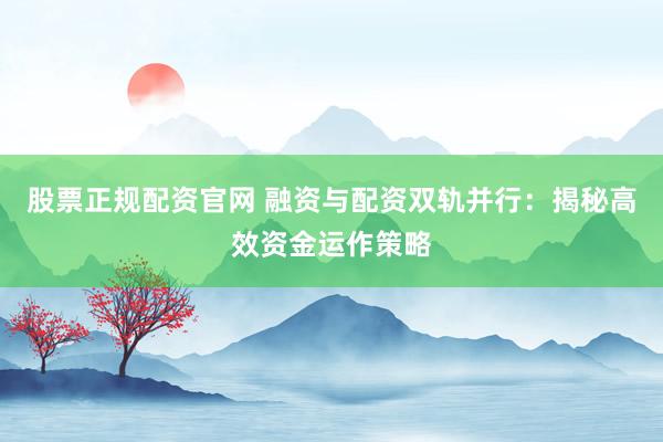 股票正规配资官网 融资与配资双轨并行：揭秘高效资金运作策略