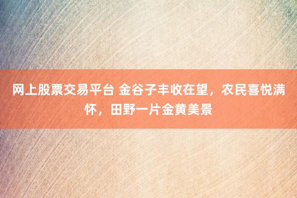 网上股票交易平台 金谷子丰收在望,农民喜悦满怀,田野一片金黄美景